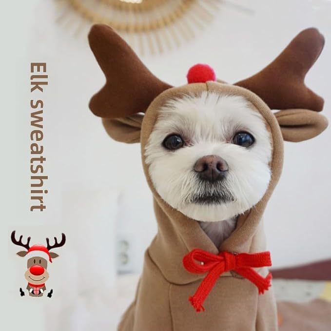 Warm Dog Winter Clothes Cute Fruit Dog Coat Hoodies Fleece Pet Dogs Costume Jacket for French Bulldog Chihuahua Ropa para Perro(Coffee,S)