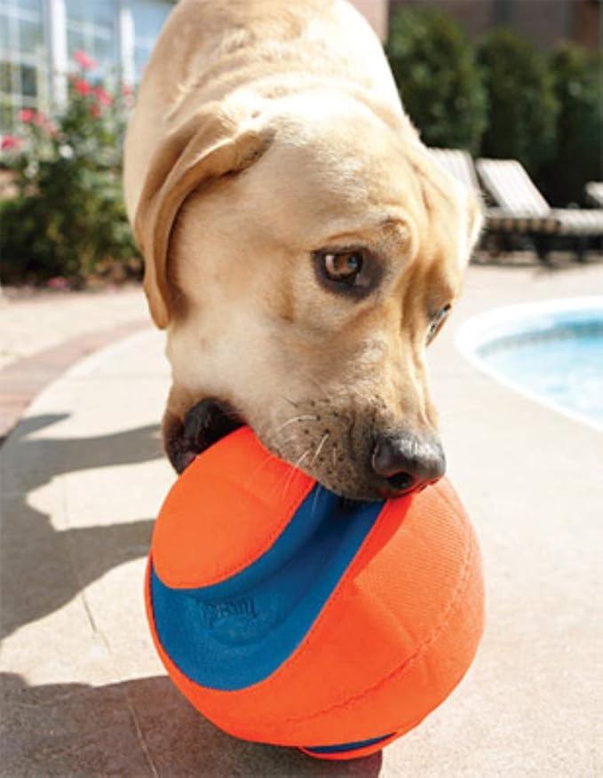 Chuckit! Kick Fetch Ball Dog Toy, Small (6 Inch) (Pack of 4)