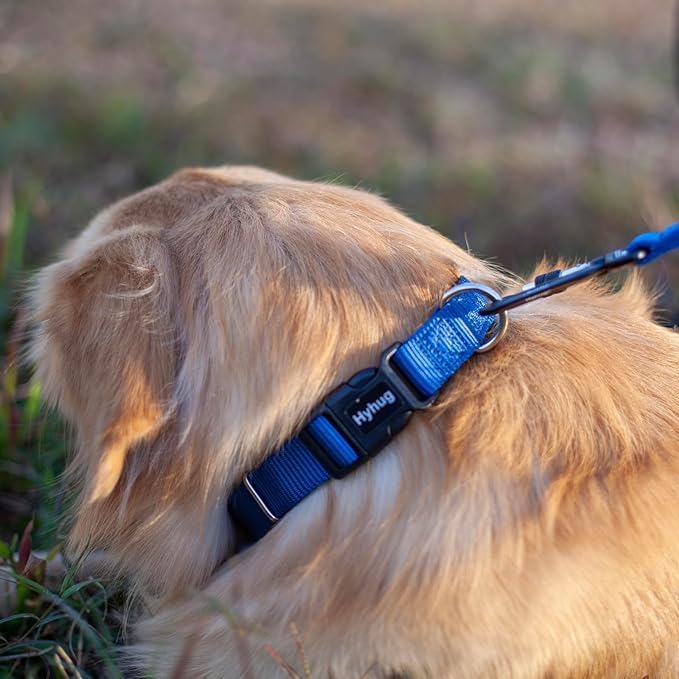 Hyhug Pets Solid Color Classic Regular Heavy Duty Basic Collar Medium Breeds Dogs, Unique Design Adjustment Triglide Slide (Buckle) Can Attached Name Tag Accessories. (Medium, Classic Blue)