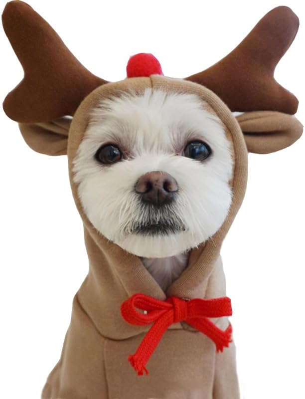 Warm Dog Winter Clothes Cute Fruit Dog Coat Hoodies Fleece Pet Dogs Costume Jacket for French Bulldog Chihuahua Ropa para Perro(Coffee,XS)