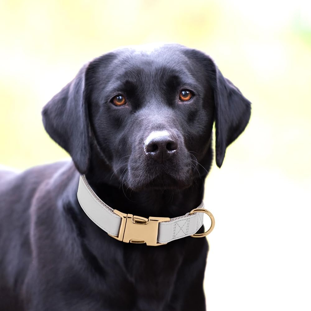 PET ARTIST Soft PU Leather Dog Collar for Medium Dogs, Bright & Classic Nylon Padded Durable Dog Collar Leather with Quick Release Metal Buckle Adjustable for Male Dogs, Neck Fit 13-19"