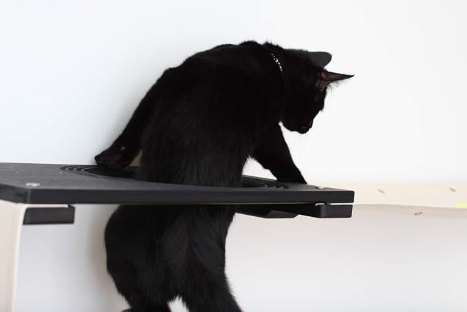 CatastrophiCreations Deluxe Maze Set for Cats Multiple-Level Wall Mounted Scratch, Hammock Lounge, Play & Climbing Activity Center Furniture Cat Tree Shelves