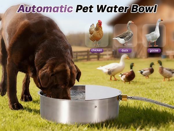 6L Automatic Dog Water Bowl Dispenser Outdoor | Stainless Steel Pet Waterer Self Filling Waterer for Large Dog Cat Chicken Duck Goat