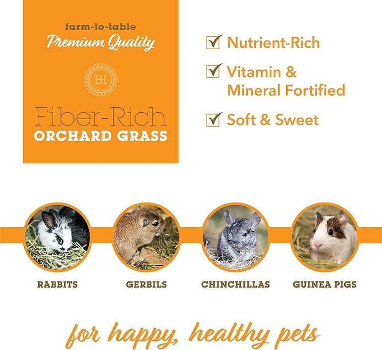 Bunny Honey Orchard Grass Hay for Guinea Pigs, Rabbits, Hamsters & Small Pets Fresh, High-Fiber, Supports Digestive Health & Dental Care, Non-Blended & Fresh Cut