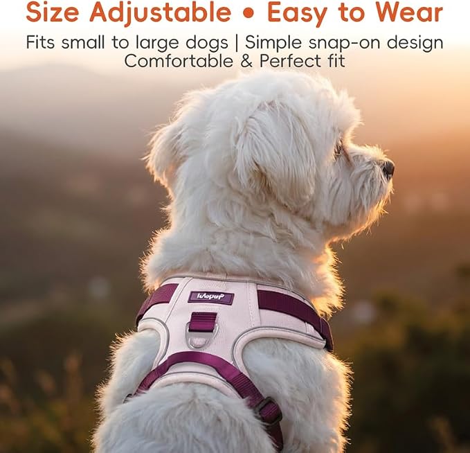 Dog Harness and Leash Set with Collar, No Pull Reflective Pet Vest Harness with Control Handle for Medium Large Dogs Walking and Training