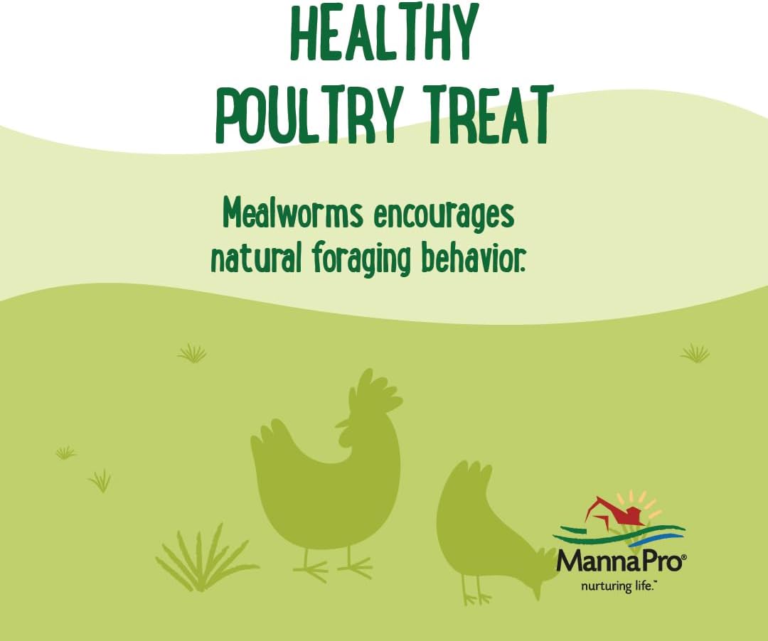Manna Pro Mealworms Poultry Treat - High Protein, 100% Natural, 10oz
