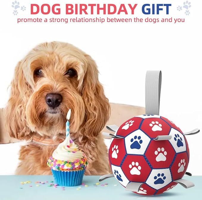 Diman Balls for Dogs with Straps - 6 Inch Dog Toy Balls for Small Medium Dogs, Outdoor & Water Fetch Toy for Birthday, Red