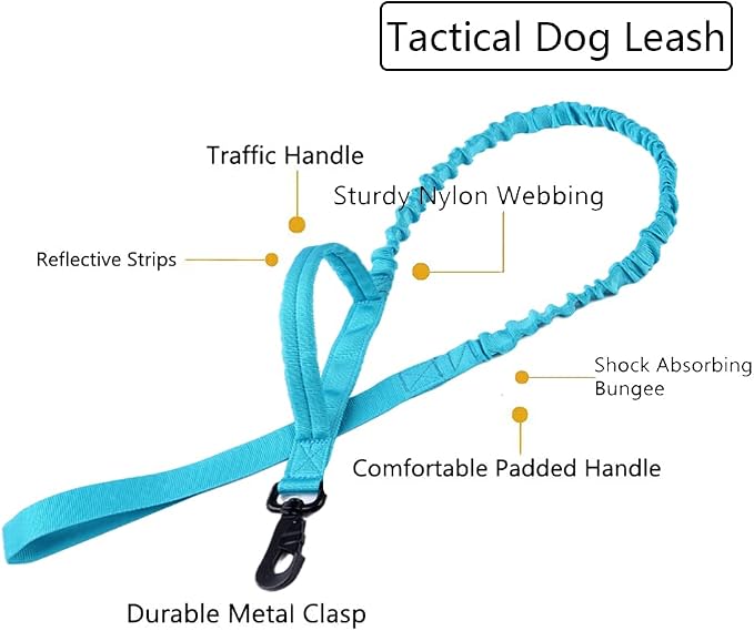 Tactical Dog Collar and Leash Set Adjustable Military Nylon Dog Collar with Control Handle and Heavy Duty Metal Buckle for Large Dogs（Blue L | 1000D Heavy-Duty Nylon Fabric,Quick-Release Metal Buckle,Adjustable Fit,Soft-Padded Webbing,D-Ring,for Traini...