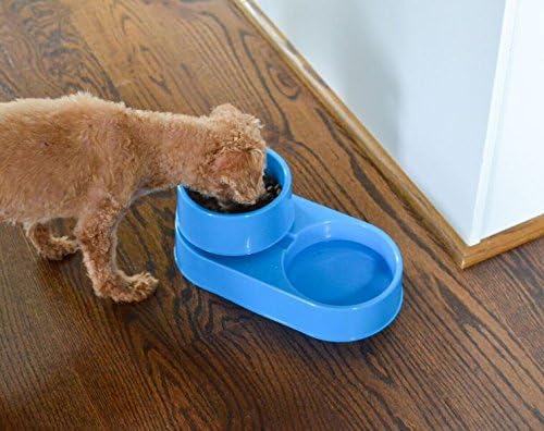 The 3-in-1 Ant Free Pet Dish (Large Blue)