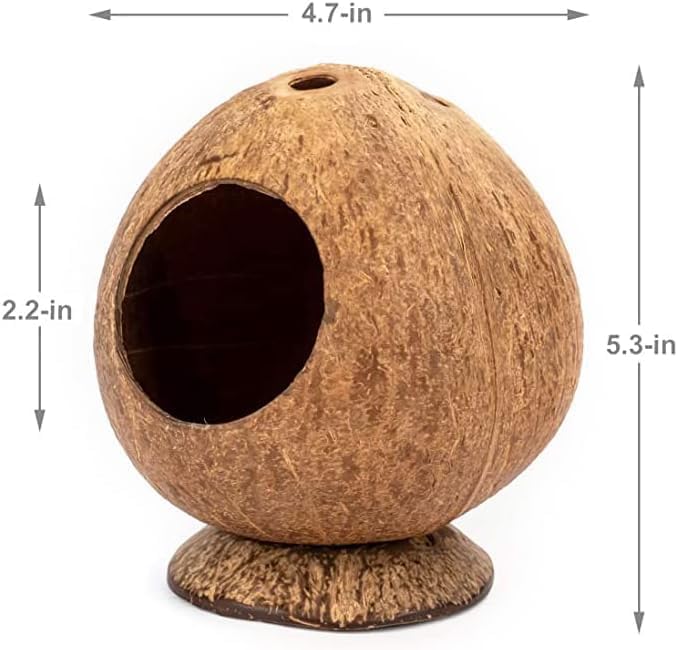 Coconut Hamster Hideout Hamster House Gerbil Cage for Small Animals with a Bundle of Apple Sticks a Carrot (Yellow)