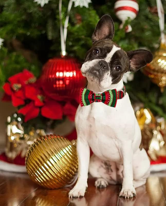 Lionet Paws Dog Collar with Bowtie, Detachable Bowtie for Dressing Up, Cotton Material, Red&Green Dot, Small, Dog, Cat, All Breeds, Extra Small, Buckle Closure, 7-11 inches