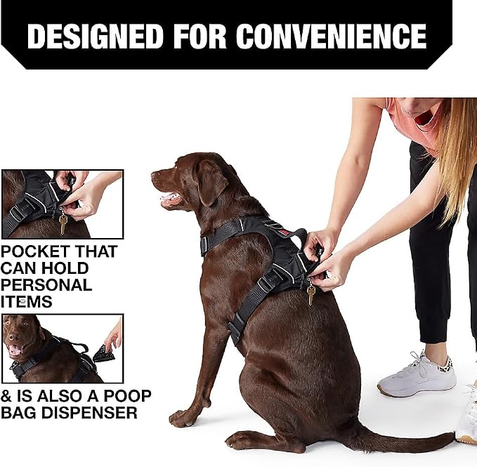 KONG Ultra Durable Waste Bag Harness (Medium, Black)