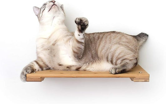 CatastrophiCreations Cat 18" Shelf Handcrafted Elevated Wall, Natural Bamboo, one Size