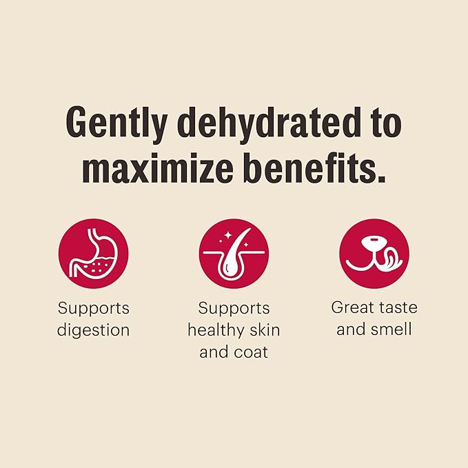 The Honest Kitchen Human Grade Wholemade™ Dehydrated Whole Grain Beef & Oat Dog Food, 2 lb Bag