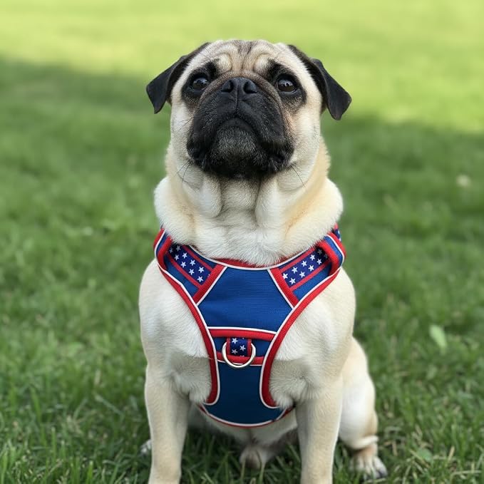 Medium Dog Harness, No Pull Pet Vest with Neck Buckle for Easy On Off, Breathable Walking Harness for French Bulldog, Corgi, Beagle, Padded with Sturdy Handle, 2 Tactical Leash Clips (M Size)