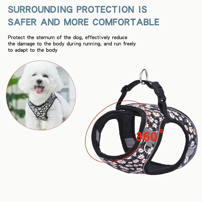 Step in Dog Harness and Leash Set, Flower Adjustable Easy Walk Puppy Harnesses, Soft Mesh No Pull Pet Vest Harness for Small Dogs and Cats(Daisy, XS)