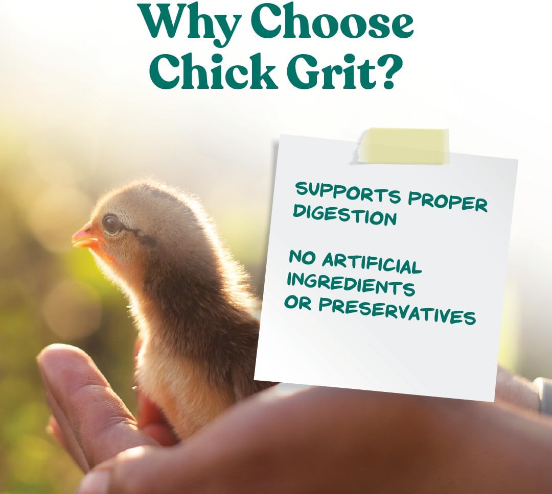Manna Pro Chick Grit Digestive Supplement for Young Growing Poultry & Bantam Breeds, No Artificial Ingredients or Preservatives, Natural Supplement with Insoluble Crushed Granite, 5 lbs