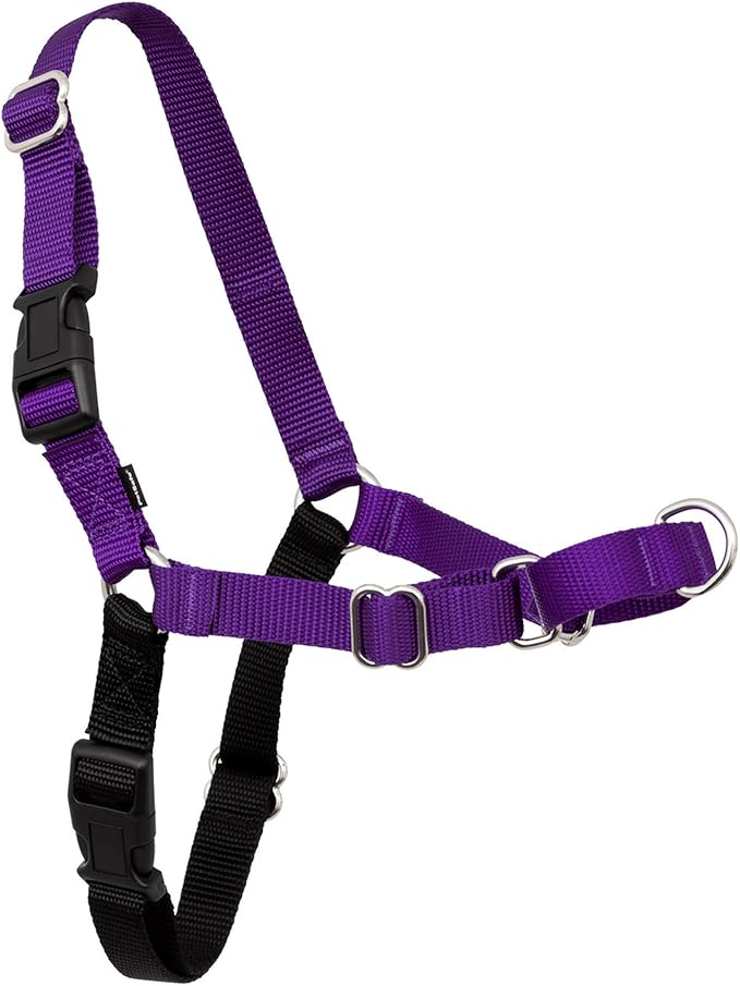 PetSafe Easy Walk Harness, No Pull Dog Harness, Deep Purple, Large | Patented Martingale Loop Gives Gradual Shoulder Pressure to Stop Pulling, Front-Chest Leash Clip Prevents Gagging