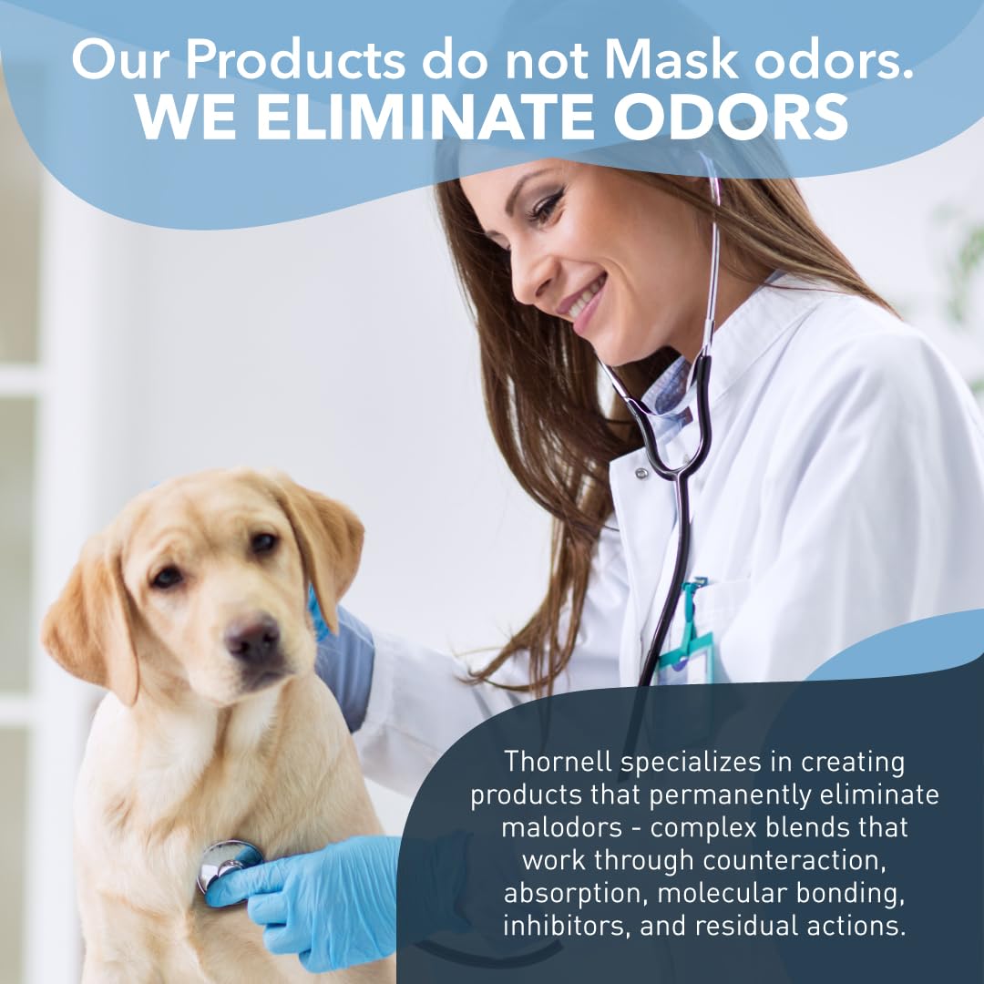 K.O.E. Fresh Scent Odor Eliminator Concentrate – For Strong Odor on Cages, Floor, & More – Non-Enzymatic For Home & Dog Kennel – Home & Pet Supplies (1 Gal)