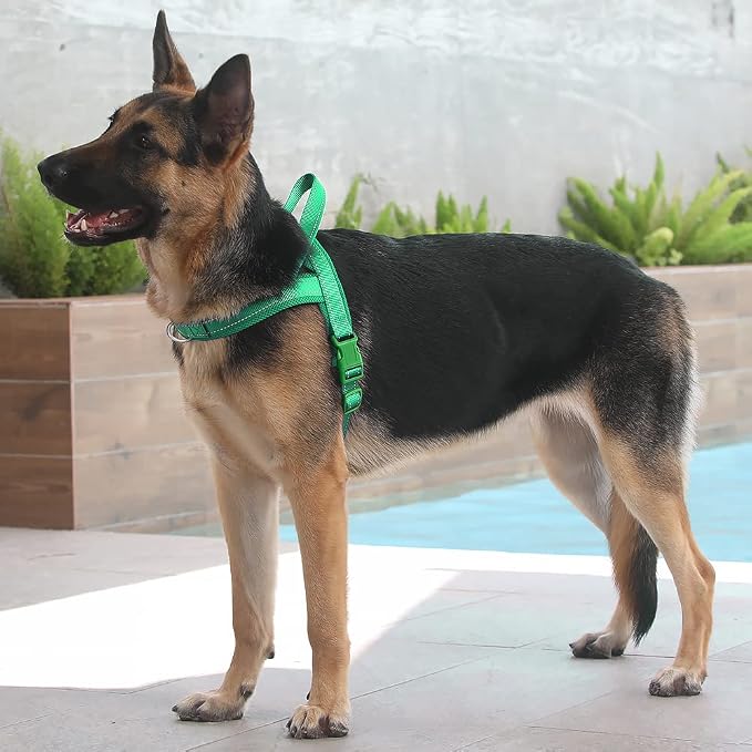 Plutus Pet No Pull Dog Harness for Large Dogs, Breathable Mesh Padded | Adjustable Reflective with Handle, Escape Proof, Quick Fit Pet Vest, Front Clip, for Training and Walking, Green, L