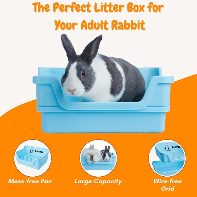 HoppScotch.bun Bumbox Large Rabbit Litter Box, 15.75" Training Cage with Plastic Grid for Small Animals, Indoor/Outdoor, Blue