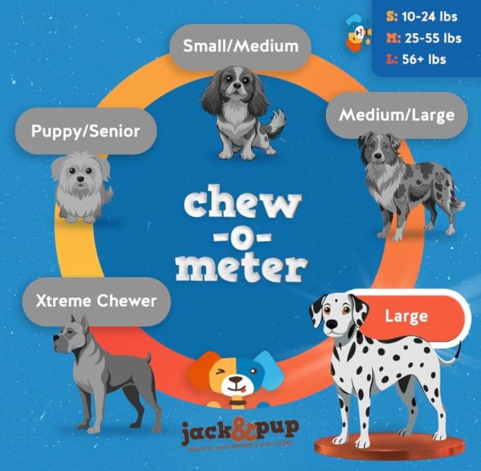 Jack&Pup 6-inch Jumbo Bully Sticks (6 Pack) Single Ingredient, Extra Thick Pizzle Sticks for Dogs | Longest Lasting Bully Sticks for Medium to Large Dogs