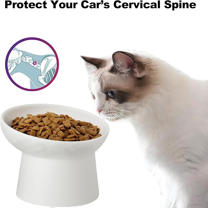 Elevated Cat Bowls, 15° Tilted Ceramic Raised Cat Food and Water Bowl Set, Whisker-Friendly Porcelain Pet Feeder Dishes for Indoor Cats and Small Dogs,White,6.2 Inch,2 Pack