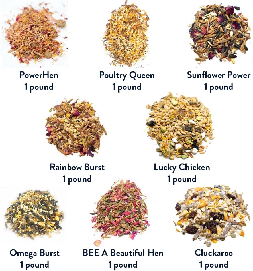 Pampered Chicken Mama Chicken Treat for Hens 8 Pounds Sampler Bundle: 8 Different Treats in One Box! - Grubs, Dried Mealworms, Cracked Corn, Oyster Shell, & Duck Feed