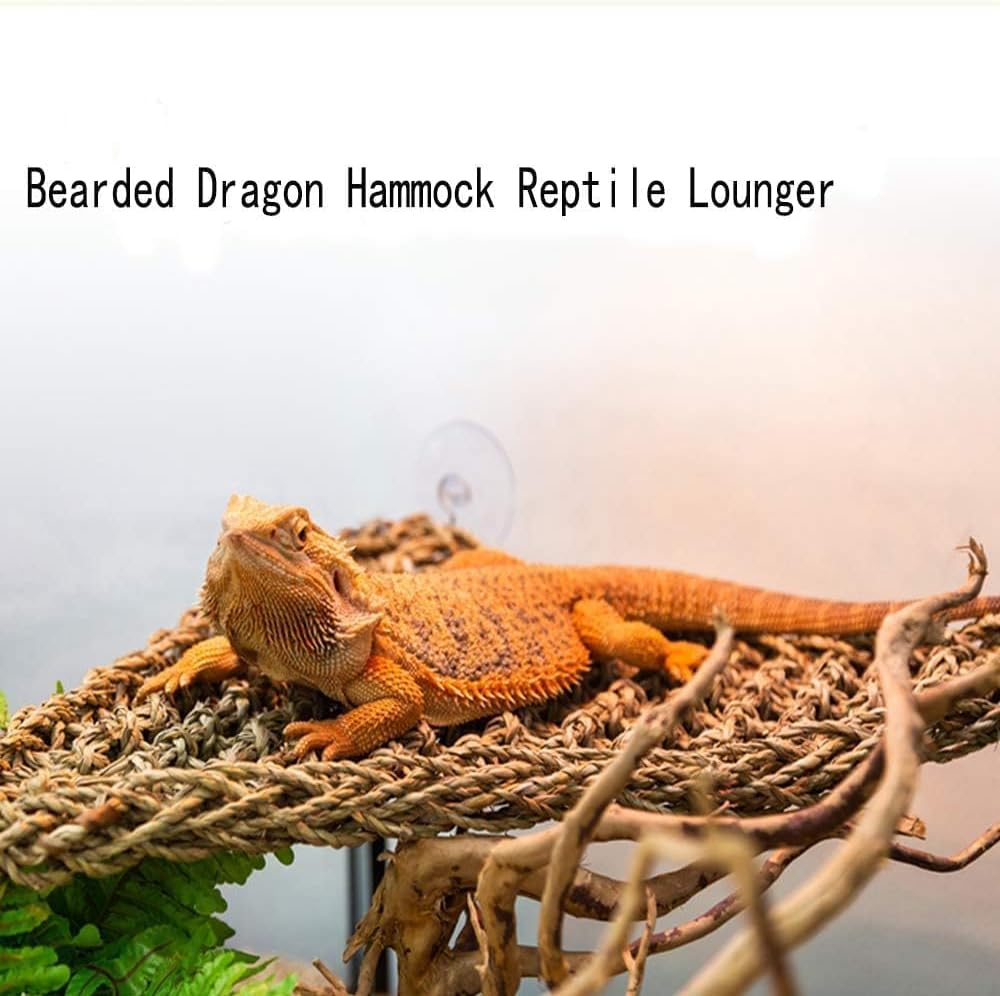 kathson Bearded Dragon Hammock, Bearded Dragon Accessories, Natural Seagrass Reptile Hammock, Reptile Lounger Habitat Decor for Chameleons, Lizards, Geckos, and Snakes（11 x 7.8 x 7.8 inches, 2 PCS）