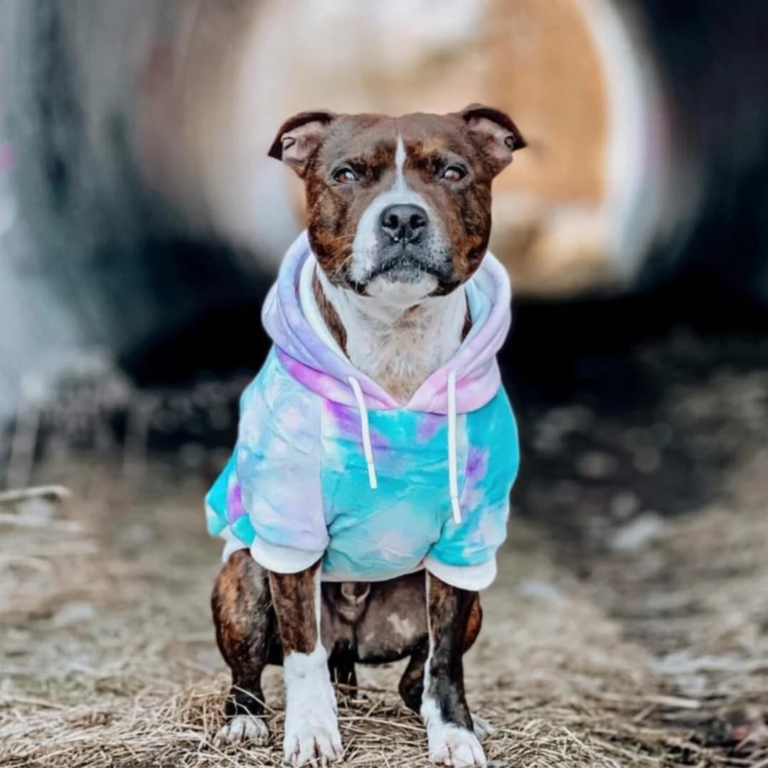 Spark Paws Dog Hoodie – Premium Dog Sweater for Small, Medium, and Large Dogs | Warm Outfits for French Bulldogs, Pitbull, Puppy, Winter Jacket Alternative - 90s Retro Sky Dye - 4XL