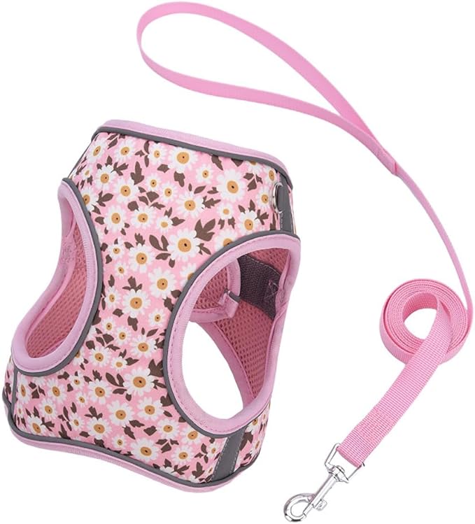 Step in Dog Harness and Leash Set, Flower Adjustable Easy Walk Puppy Harnesses, Soft Mesh No Pull Pet Vest Harness for Small Dogs and Cats(Daisy, XS)