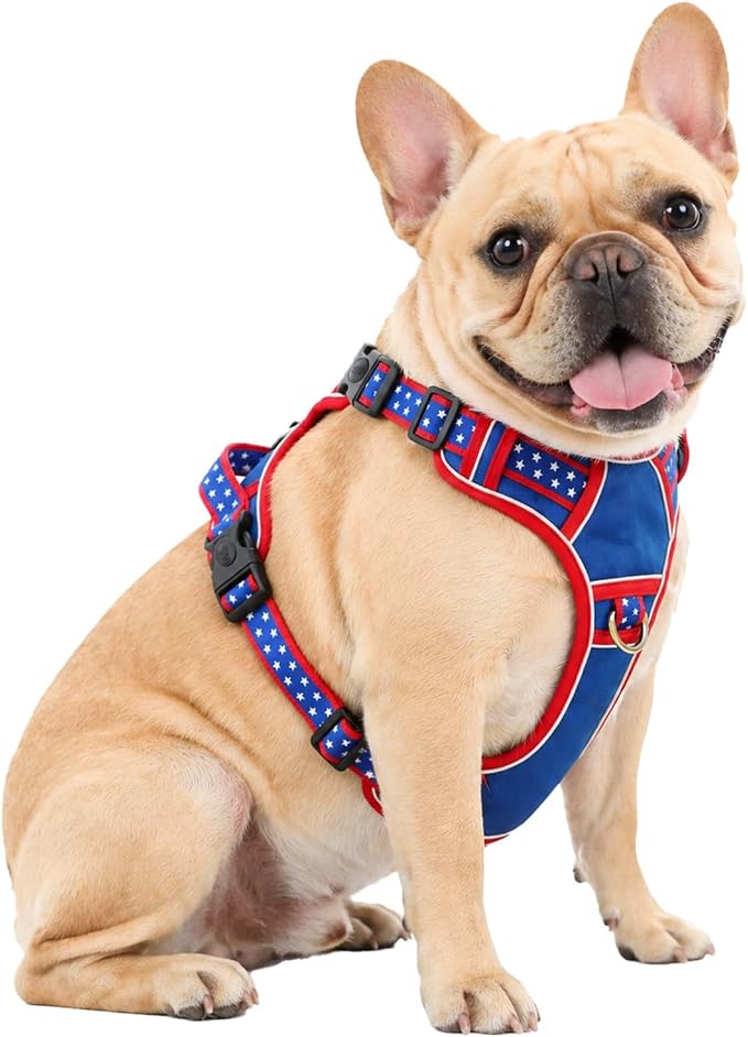 Medium Dog Harness, No Pull Pet Vest with Neck Buckle for Easy On Off, Breathable Walking Harness for French Bulldog, Corgi, Beagle, Padded with Sturdy Handle, 2 Tactical Leash Clips (M Size)