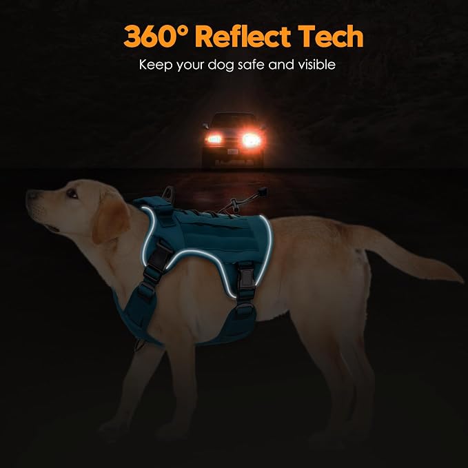 Heavy-Duty Tactical Dog Harness for Large Dogs, No Pull Adjustable Reflective Pet Vest with Molle System, K9 Military-Grade Control for Service Training, Outdoor & 10+ Breeds, Blue, Large