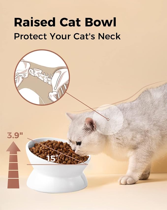 LoeJan Elevated Cat Food Bowl, 5 Oz Ceramic Raised and Tilted Water Bowl, Anti Vomiting and Protect Pets' Spines Dishes for Small Dog, Fat Faced Cat, Kitten (White, 2 Pack)