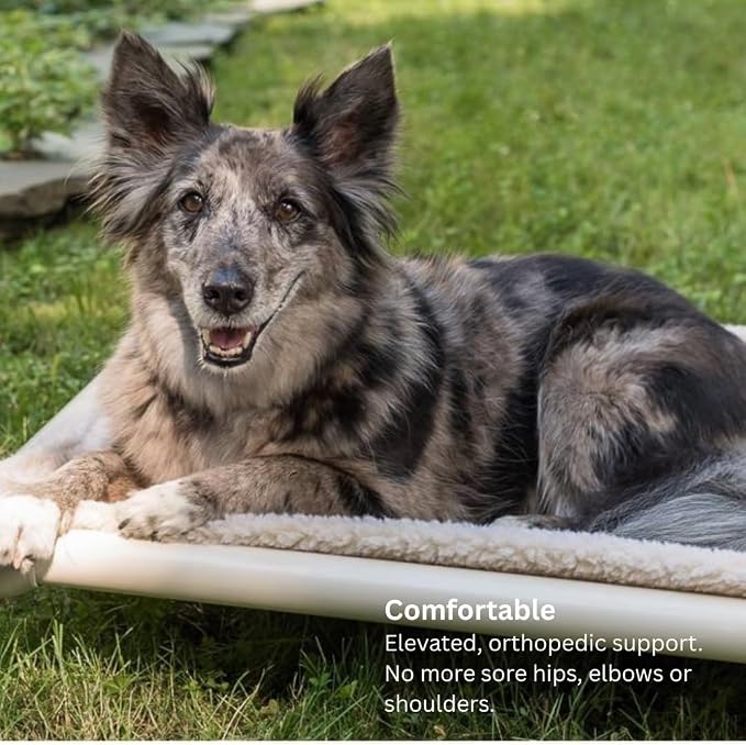 Kuranda Chewproof Elevated Dog Bed – 44" x 27" - Sunsure Textilene - Birch