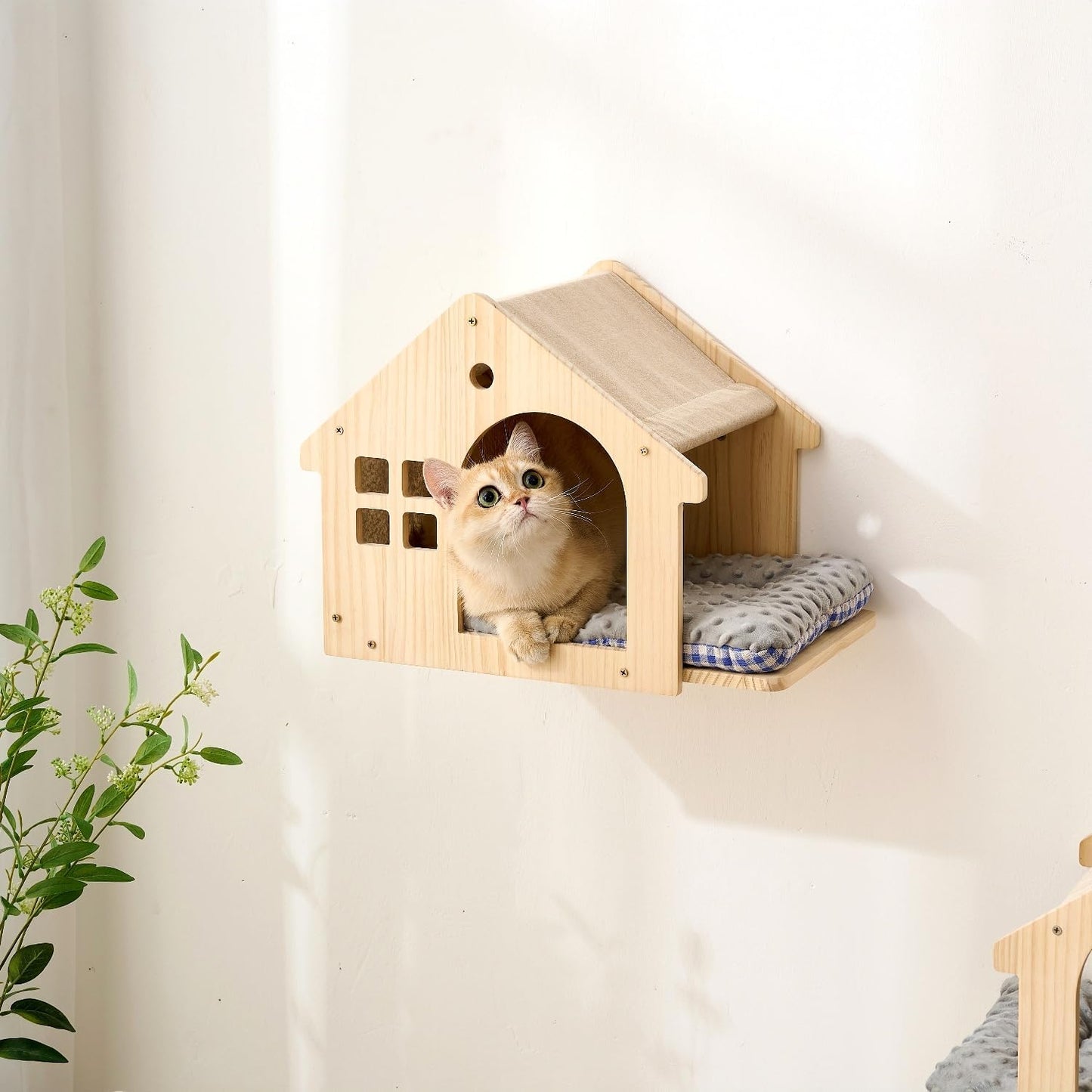 SHENGOCASE Natural Wood Cat Wall Shelves Bed, 2-Pack, Wall-Mounted Box House Perch, Cat Condo Furniture with Washable Pillow Cushions