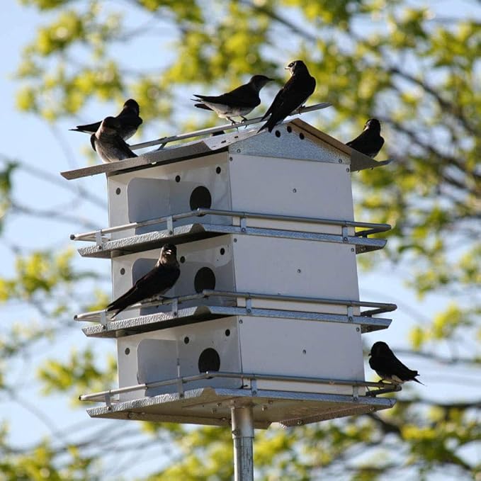 Birds Choice Purple Martin Bird House - Coates Original Bird House Design, 3 Floors / 12 Rooms, Assembly Required, Medium, White/Grey