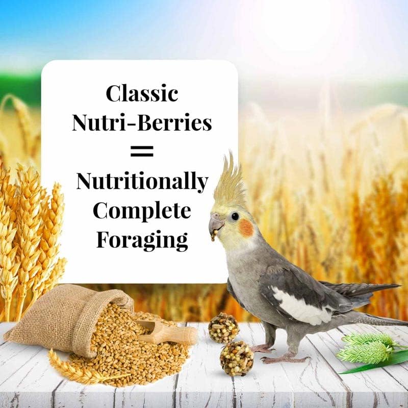 LAFEBER'S Classic Nutri-Berries Pet Bird Food, Made with Non-GMO and Human-Grade Ingredients, for Cockatiels (10 oz Pack of 2)