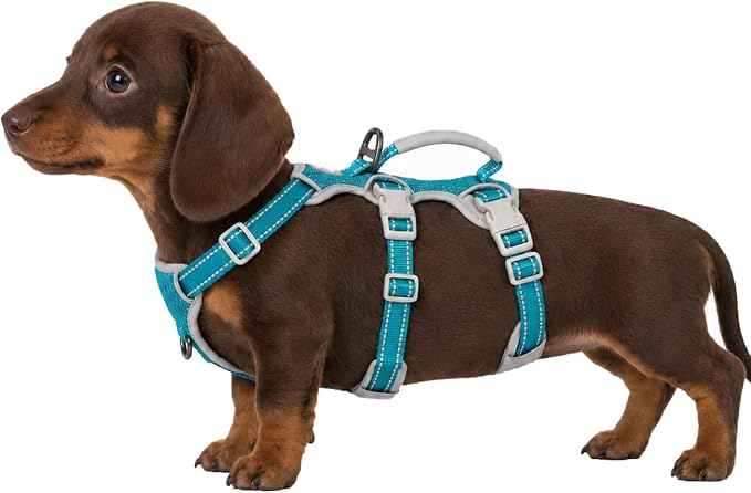 Escape Proof Dog Harness, Escape Artist Harness, Fully Reflective Harness with Padded Handle, Breathable,Durable, Adjustable Vest for Medium Dogs Walking, Training, and Running Gear (Teal,XS)