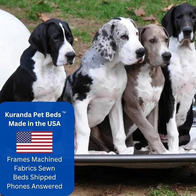 Kuranda Chewproof Elevated Dog Bed - Walnut PVC - 25" x 18" - Sunsure Textilene Outdoor Mesh - Birch