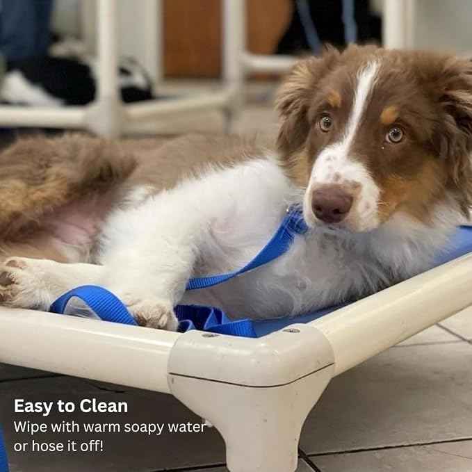Kuranda Chewproof Elevated Dog Bed – 30" x 20" - Sunsure Textilene - Birch