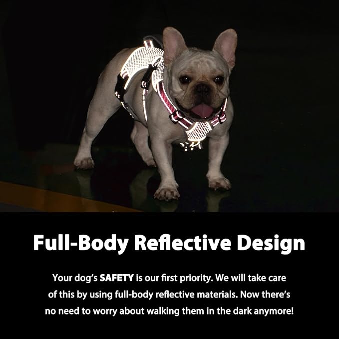 Escape Proof Dog Harness, Dachshund Harness, Reflective Dog Harness with Handle, Durable,Adjustable Vest for Small Medium Large Dogs Walking, Training, and Running Gear (Red,M)