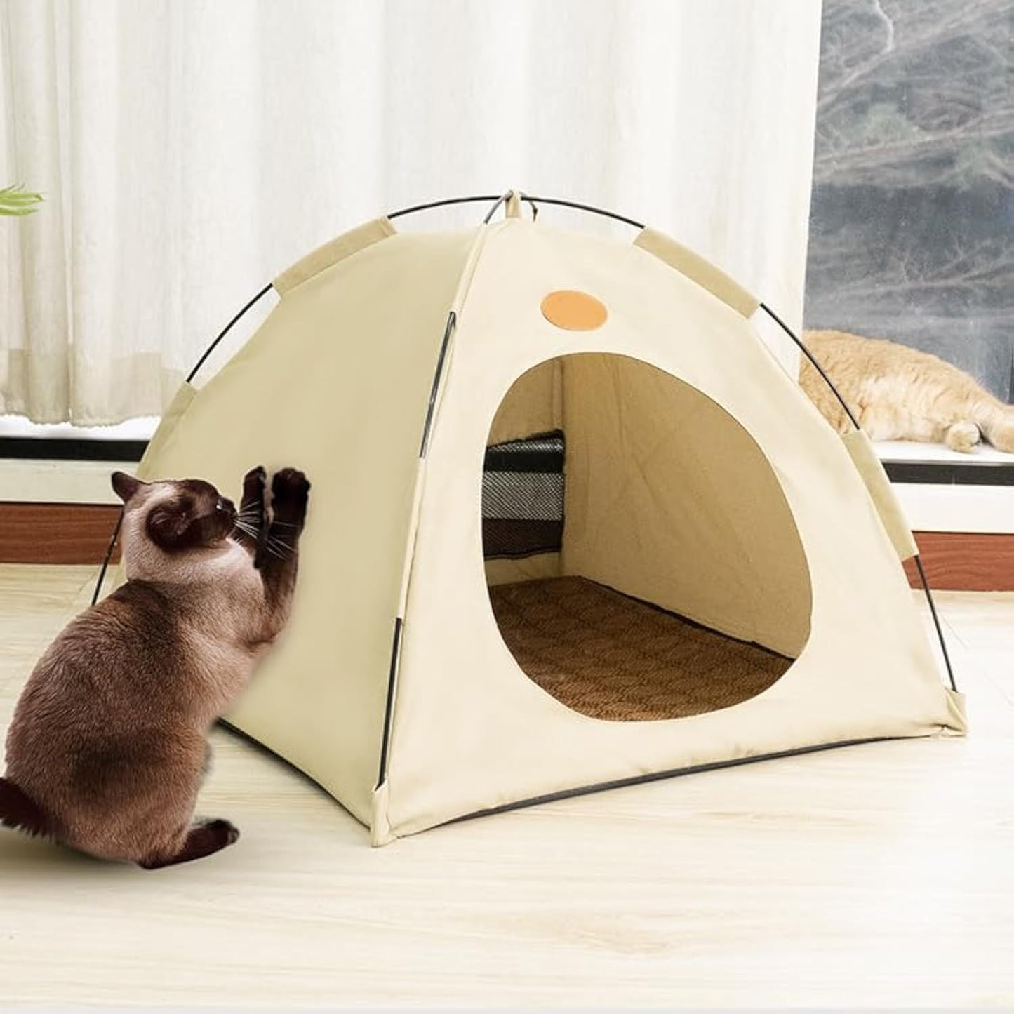 BreezyDen Pop-Up Pet Tent – Portable Indoor/Outdoor Cat Tent, Waterproof Pet Hideaway for Cats & Small Dogs with Mesh Window, Anti-Slip Base & Washable Design (Dark Gray, M (8 catties Kitten))