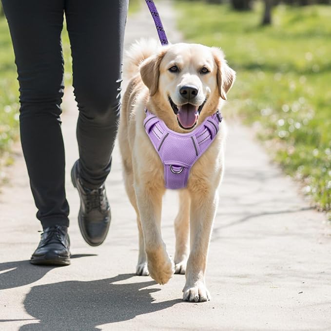 BARKBAY No Pull Dog Harness Large Reflective Dog Harness with Front Clip and Easy Control Handle for Walking Training Running with ID tag Pocket(Violet Purple,M)