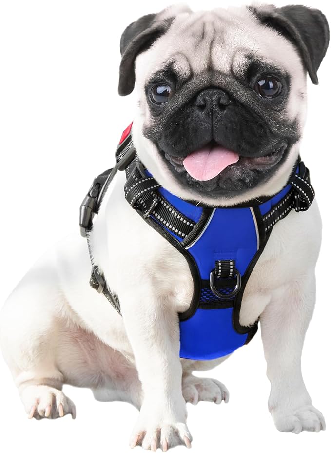 No Pull Dog Harness Medium Reflective Front Clip Vest with Handle | Adjustable 2 Metal Rings 3 Buckles,[Easy to Put on & Take Off](M, Royal Blue)