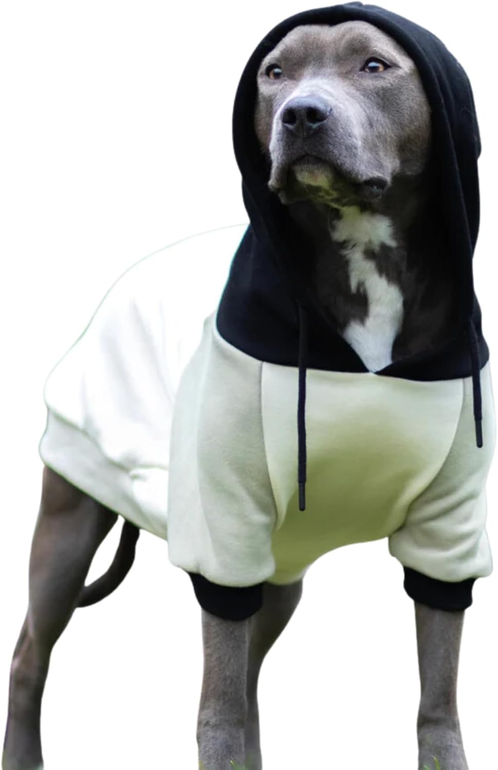 Spark Paws Dog Hoodie – Premium Dog Sweater for Small, Medium, and Large Dogs | Warm Outfits for French Bulldogs, Pitbull, Puppy, Winter Jacket Alternative - Olive Cream - 5XL