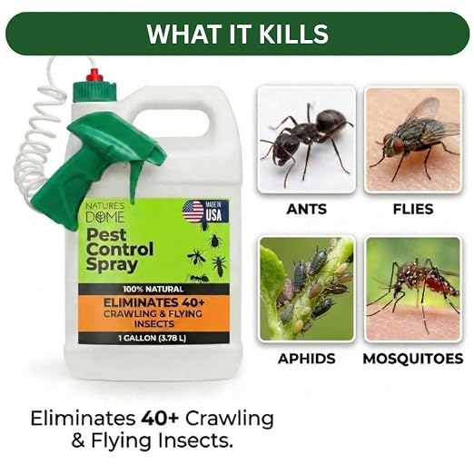 Nature's Dome Natural Pest Control Spray 1 Gallon | Ant Killer for Indoor & Outdoor | Eco-Friendly Bug Spray for Fleas, Ticks, Ants & Mosquitoes | Pet & Kid Safe