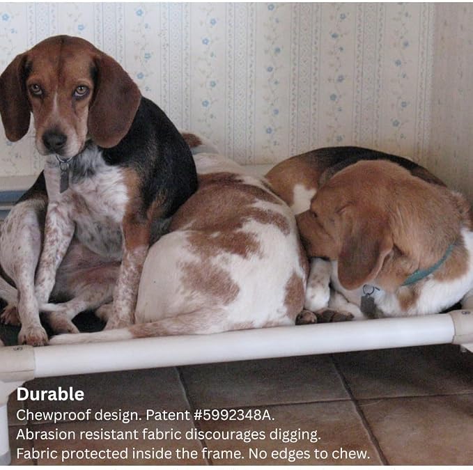 Kuranda Chewproof Elevated Dog Bed – 25" x 18" - Sunsure Textilene - Sierra