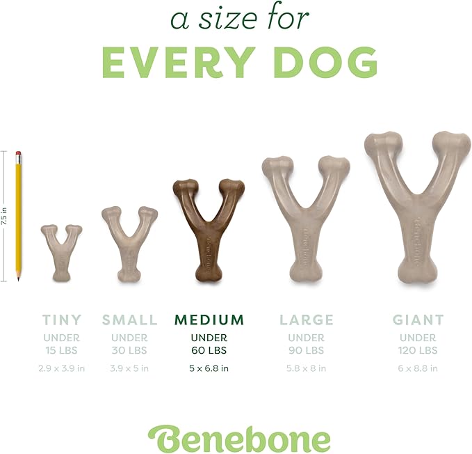 Medium 3-Pack, Benebone Wishbone Durable Dog Chew Toy for Aggressive Chewers, Real Bacon, Chicken, Peanut Butter, Made in USA, Variety Pack