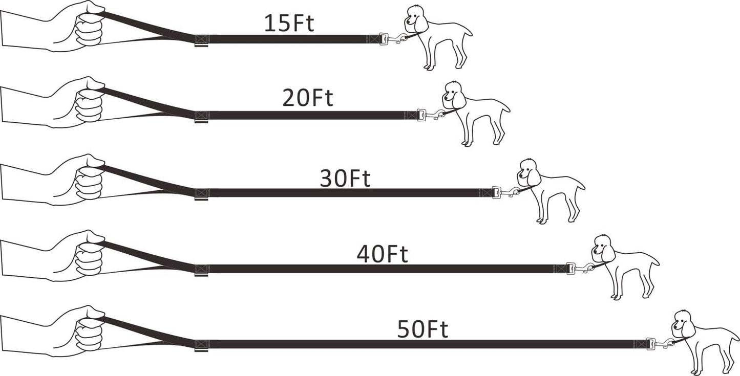 Dog/Puppy Obedience Recall Training Agility Lead - 15ft 20ft 30ft 40ft 50ft Training Leash - Great for Play, Camping, or Backyard - Black 40ft (40Feet, Black)